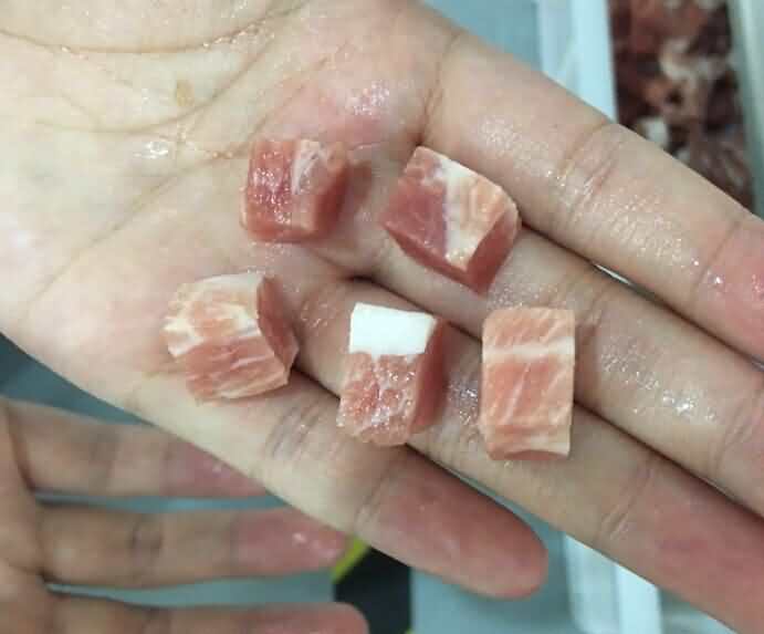 切丁機(jī)切凍肉丁效果
