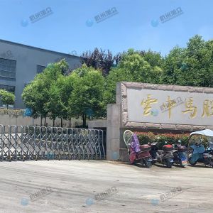 松陽(yáng)的客戶(hù)，調(diào)試30型包子機(jī)完成！