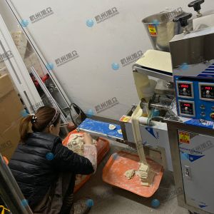 仿手工包餃子機(jī)省時(shí)省力開店神器！