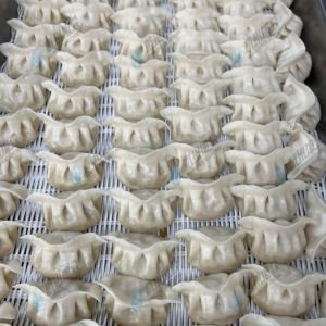 JGB-10型一體式餃子機(jī)現(xiàn)場試機(jī)，效果棒棒噠！?。?！